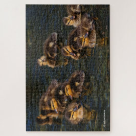 Quebra-cabeça Corks vivos flutuantes: 9 Cute Mallard Ducklings J