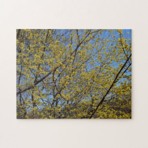Quebra-cabeça Cornelian Cherry Dogwood e Blue Sky Floral