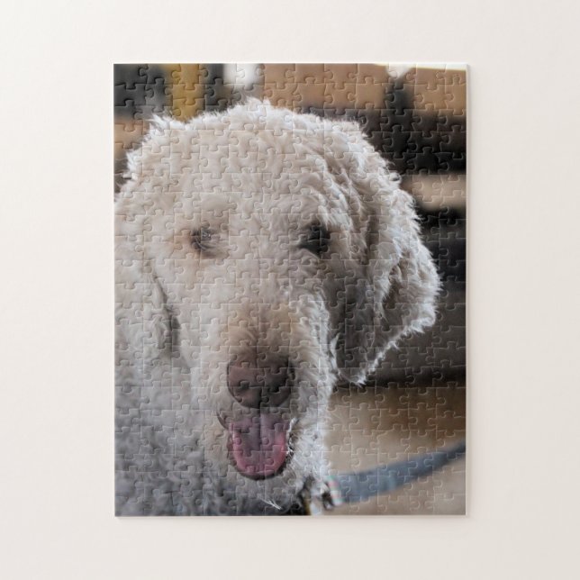 Quebra-cabeça Coroa (Vertical)