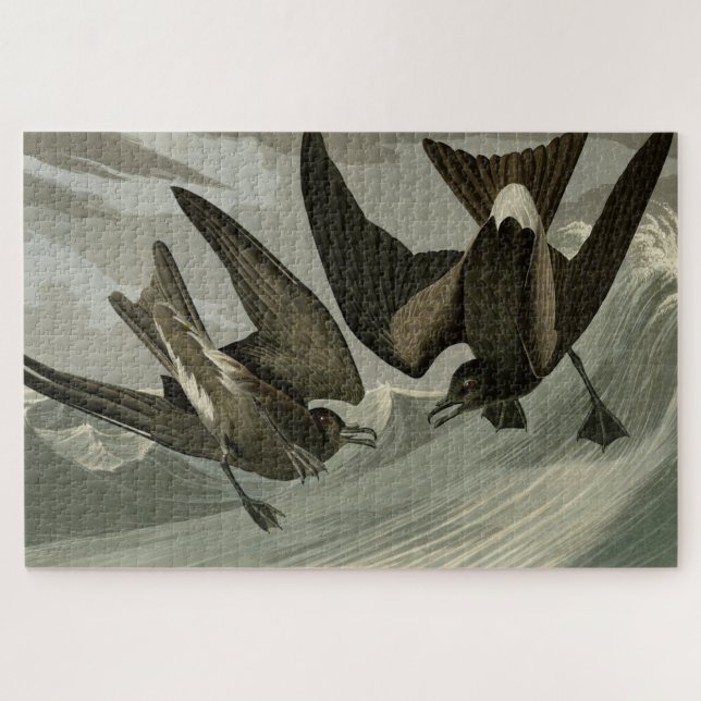 Quebra-cabeça Coroa-garfo Petrel das Aves da América de Audubon (Horizontal)