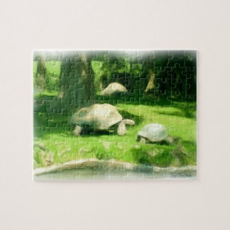 Quebra-cabeça Corrida de Tortoise