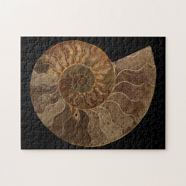 Quebra-cabeça Cortar Ammonite Fóssil (Horizontal)