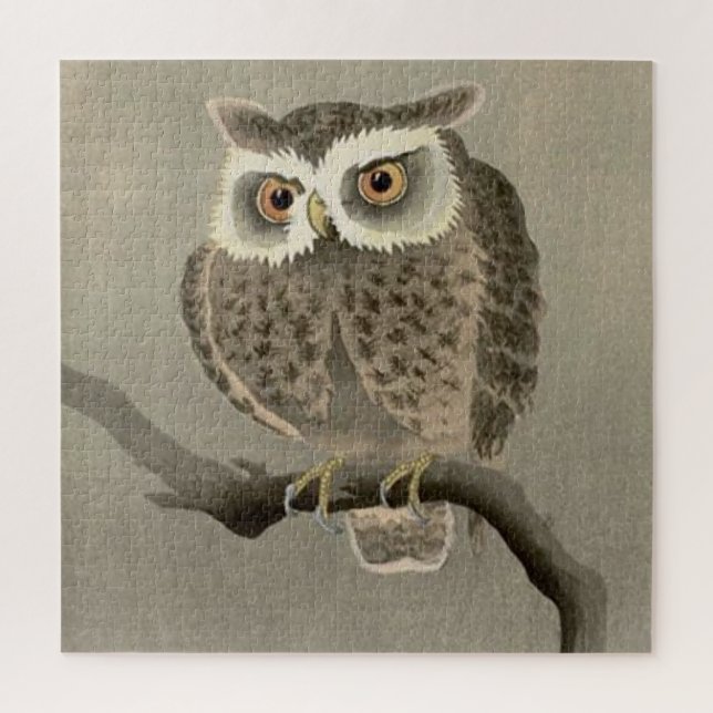 Quebra-cabeça coruja-de-orelha-longa (Vertical)