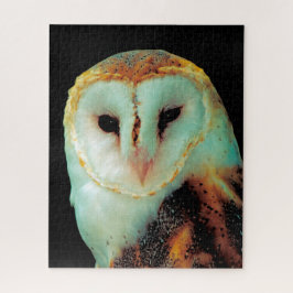 Quebra-cabeça Corujas-Pássaros de Presas.