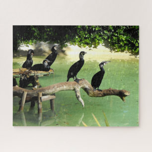 Quebra-cabeça Corvos