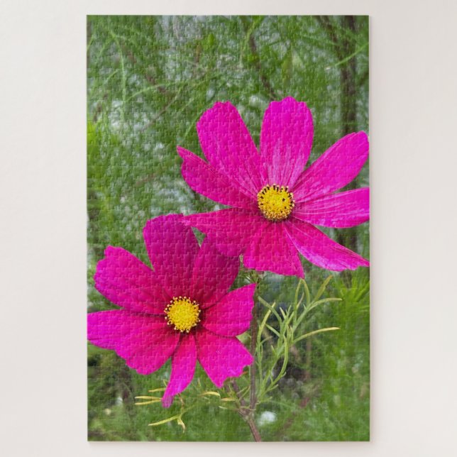 Quebra-cabeça Cosmos Magenta, Cidade de Quebec (Vertical)
