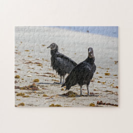 Quebra-cabeça Costa Rica, Punta Cahuita - Aurgueiros negros