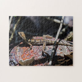 Quebra-cabeça Costa Rica, Punta Cahuita - Female basilisk Lizard