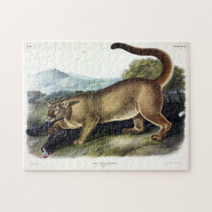 Quebra-cabeça Cougar ou Puma, Pantera, Leão de Montanha, Catmont