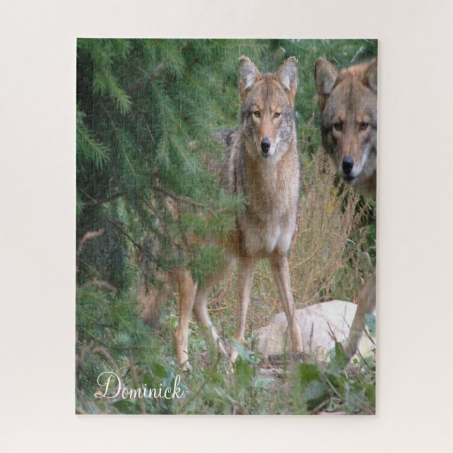 Quebra-cabeça Coyote (Vertical)