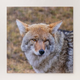 Quebra-cabeça Coyote Wild Dog