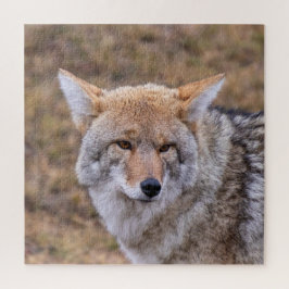 Quebra-cabeça Coyote Wild Dog
