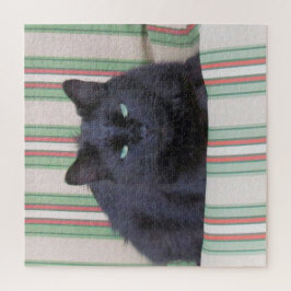 Quebra-cabeça - Cozy Cat em Cushion