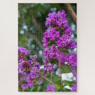 Quebra-cabeça Crape Myrtle Roxo, Livermore