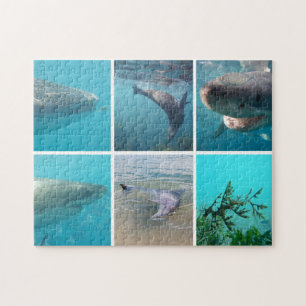 Quebra-cabeça Crianças de Colagem de Fotos Submarinas de Animais