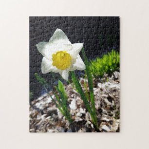 Quebra-cabeça criativo de jardim de narcisos branc
