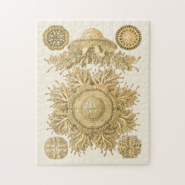 Quebra-cabeça Criaturas do Mar do ouro (Vertical)