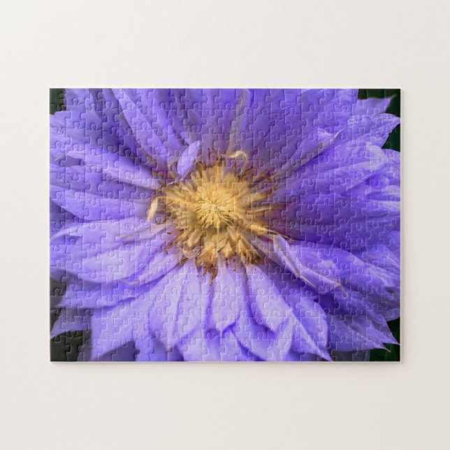 Quebra-cabeça Crie Sua Própria Flor de Dália Bonita (Horizontal)