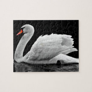 Quebra-cabeça Crie Sua Própria Foto Da Natureza Do Cisne Branco
