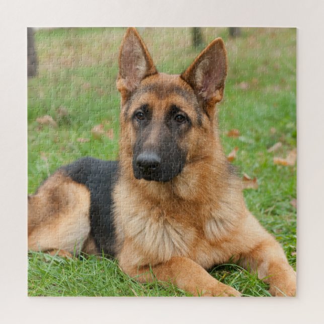 Quebra-cabeça Crie Sua Própria Foto Personalizada de Animal de E (Vertical)