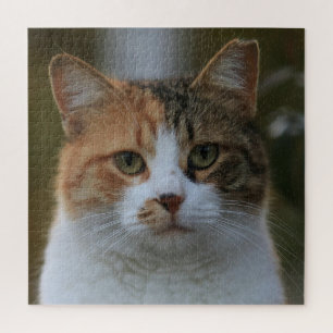 Quebra-cabeça Crie Sua Própria Foto Personalizada de Gato de Est