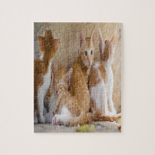 Quebra-cabeça Cristóvão Laranja e Branco/Adiciona a Foto do Seu  (Vertical)