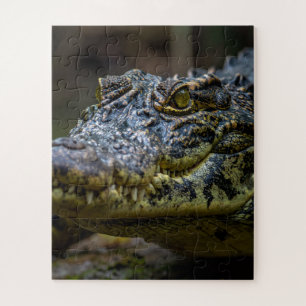 Quebra-cabeça crocodilo