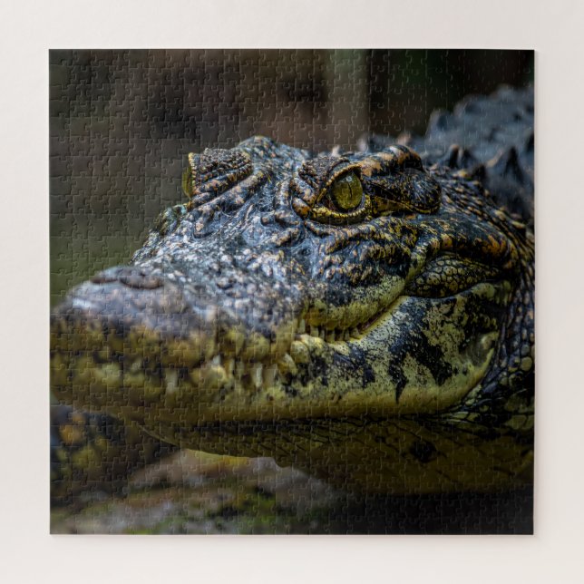 Quebra-cabeça Crocodilo (Vertical)