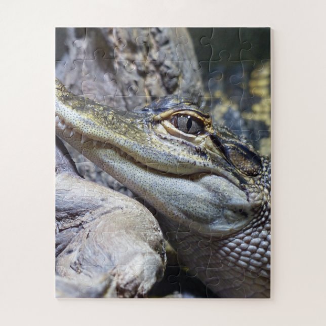 Quebra-cabeça Crocodilo De Bebê Brega Bastante Bastante Sorrindo (Vertical)