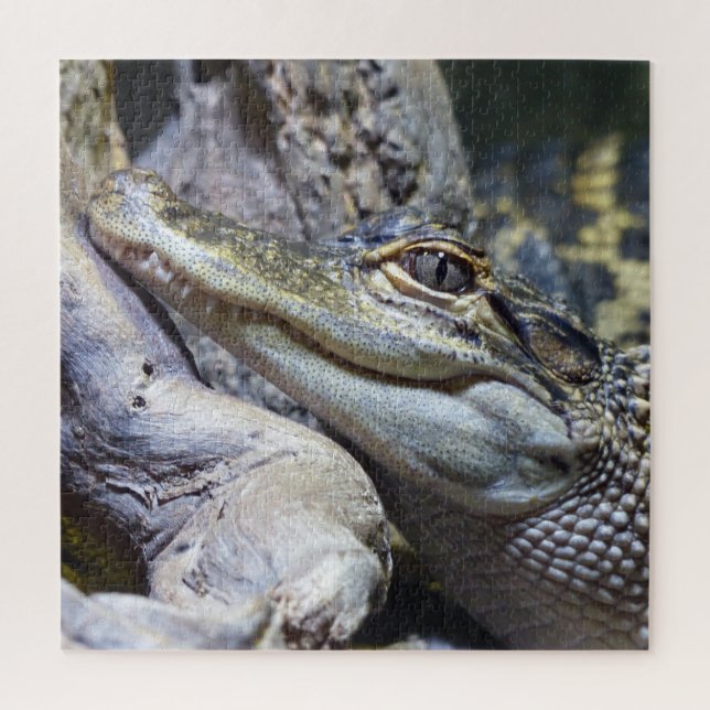 Quebra-cabeça Crocodilo De Bebê Brega Bastante Bastante Sorrindo (Vertical)
