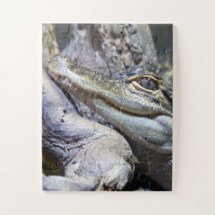 Quebra-cabeça Crocodilo de Bebê Gelado Sorrindo