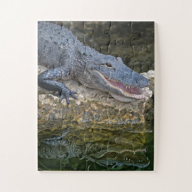 Quebra-cabeça Crocodilo Escuro com Reflexão Clara em Água (Vertical)