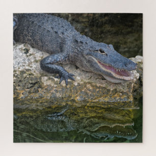 Quebra-cabeça Crocodilo Escuro com Reflexão Clara em Água