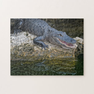 Quebra-cabeça Crocodilo Escuro com Reflexão Clara em Água