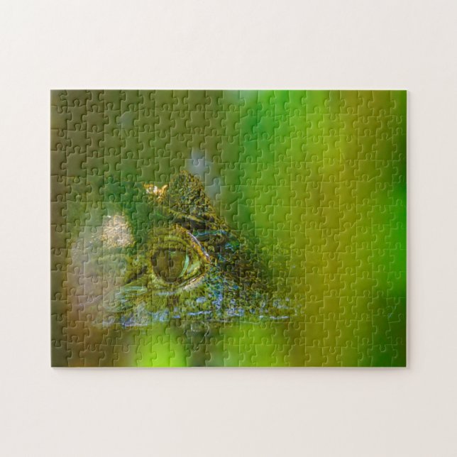 Quebra-cabeça Crocodilo na Guiana. (Horizontal)