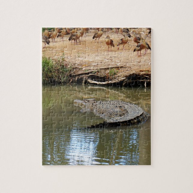 QUEBRA-CABEÇA CROCODILO QUEENSLAND AUSTRÁLIA (Vertical)