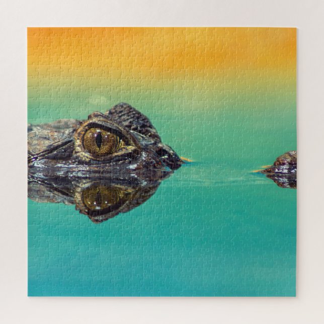 Quebra-cabeça Crocodilo Verde Bebê em Água com Azul e Laranja (Vertical)