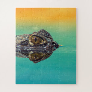 Quebra-cabeça Crocodilo Verde Bebê em Água com Azul e Laranja
