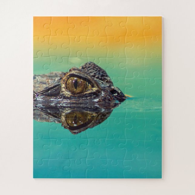 Quebra-cabeça Crocodilo Verde Bebê em Água com Azul e Laranja (Vertical)