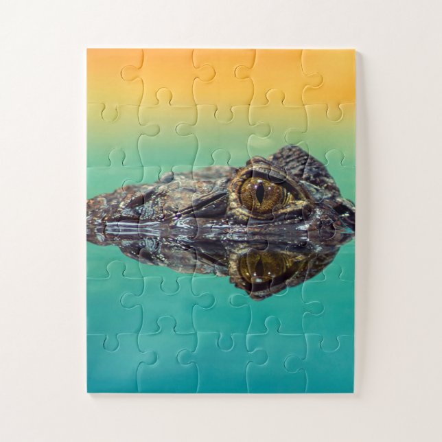 Quebra-cabeça Crocodilo Verde Bebê em Água com Azul e Laranja (Vertical)