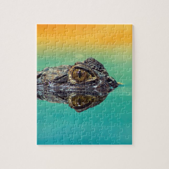 Quebra-cabeça Crocodilo Verde Bebê em Água com Azul e Laranja (Vertical)