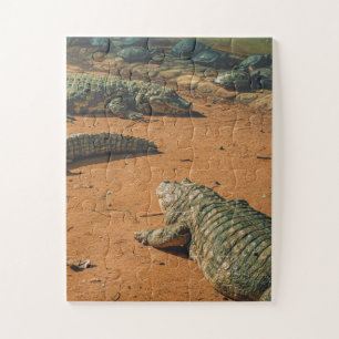 Quebra-cabeça Crocodilos de Curta Distância Perto das Tartaruga