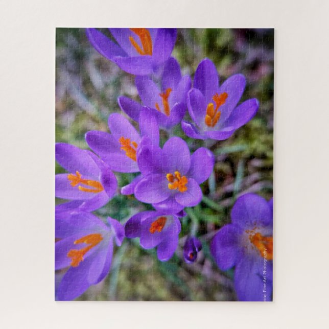Quebra-cabeça Crocus Fine Art (Vertical)
