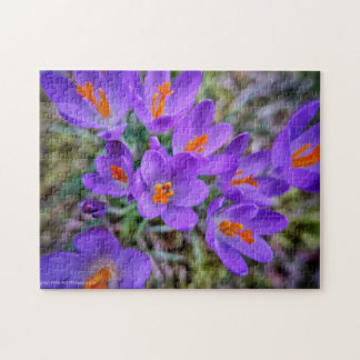 Quebra-cabeça Crocus Fine Art