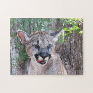 Quebra-cabeça Cub Adorável - Pantera da Flórida / Cougar / Puma