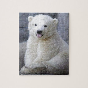 Quebra-cabeça Cubo Polar Bear