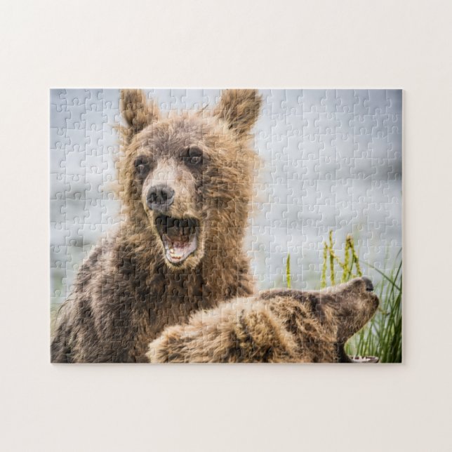 Quebra-cabeça Cubos Grizzly Procurando Sua Mãe (Horizontal)