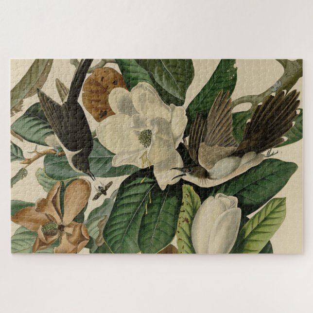 Quebra-cabeça Cuco-bico-preto - Aves da América de Audubon (Horizontal)