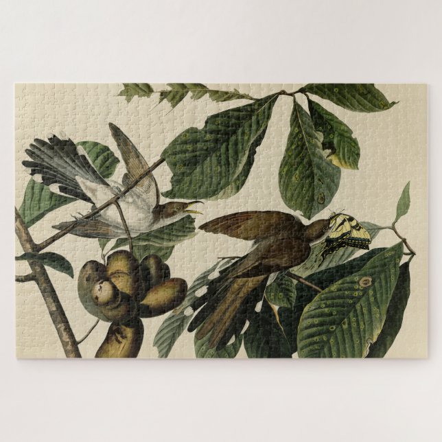 Quebra-cabeça Cuco de bico amarelo - Aves da América de Audubon (Horizontal)