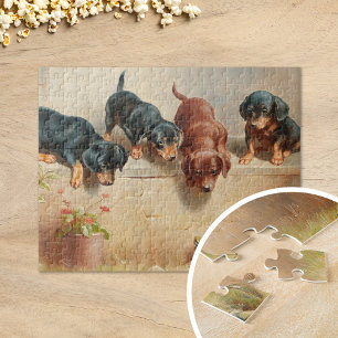 Quebra-cabeça Curioso Dachshund Puppies   Carl Reichert